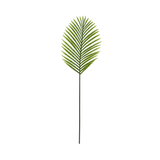 Hoja Palmira