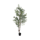 Planta artificial Olivo II