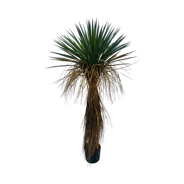 Planta artificial Palmera Yucca
