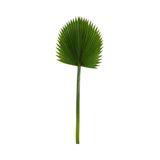 Hoja Palmera
