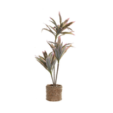 Planta artificial Dracaena II