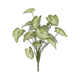 Rama artificial Syngonium