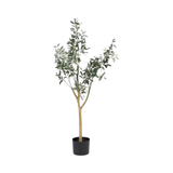Planta artificial Olivo I