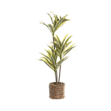 Planta artificial Dracaena I
