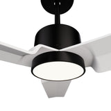 Ventilador de techo ANNE 127 con luz negro