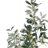 Planta artificial Olivo I