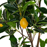 Árbo artificial  Limonero
