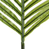 Hoja Palmira
