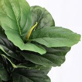 Planta artificial Ficus Lyrata