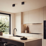 Aplique de techo Twin Black