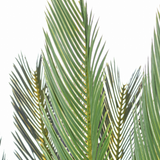 Planta artificial Cycas