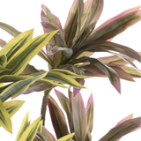 Planta artificial Dracaena II
