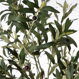 Planta Artificial Olivo III