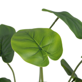 Rama artificial Filodendro