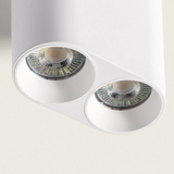Aplique de techo Twin White