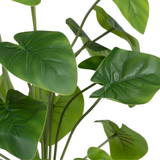 Rama artificial Filodendro