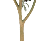 Planta artificial Olivo I