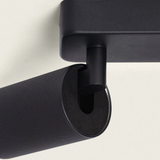 Aplique de techo 4 focos Brais Black