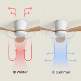 Ventilador de techo con luz Frau Wood