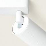 Aplique de techo 4 focos Brais White