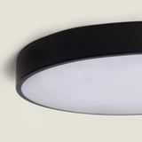 Plafón Lisan Black