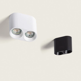 Aplique de techo Twin White