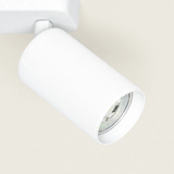 Aplique de techo 4 focos Brais White