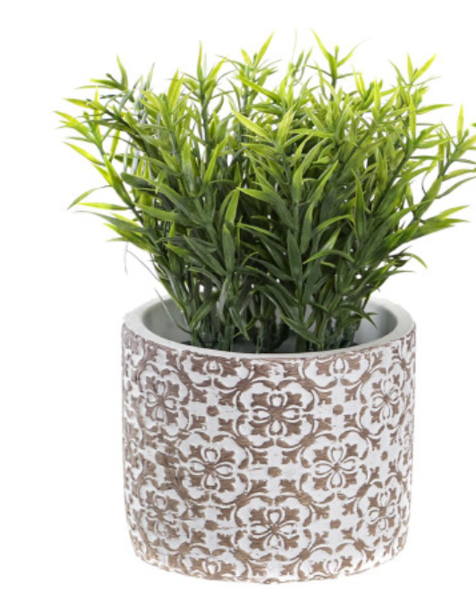 Planta Lexa I