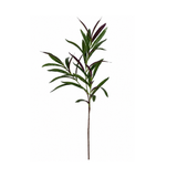 Rama artificial Eucalipto